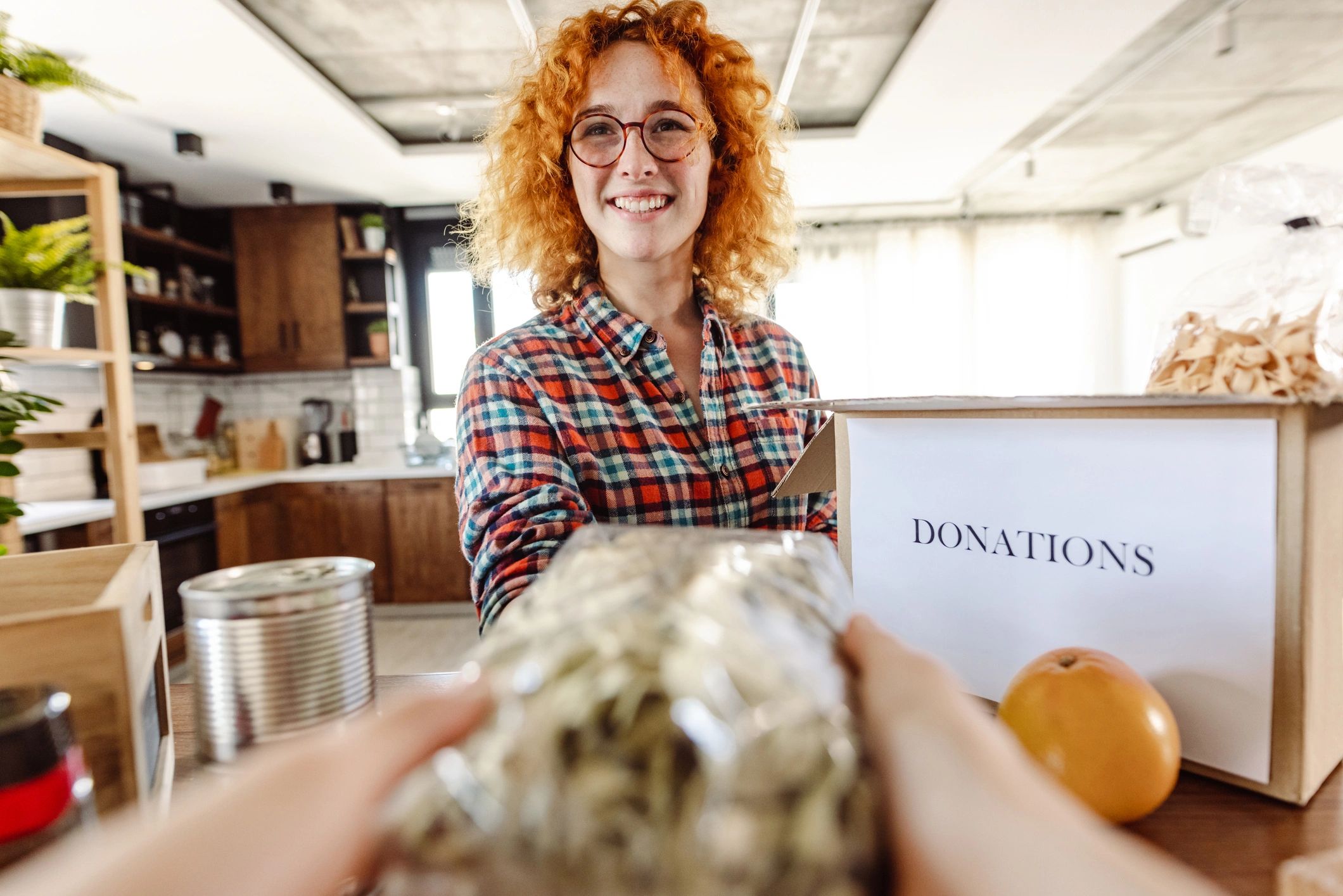 vegan donation nonprofit