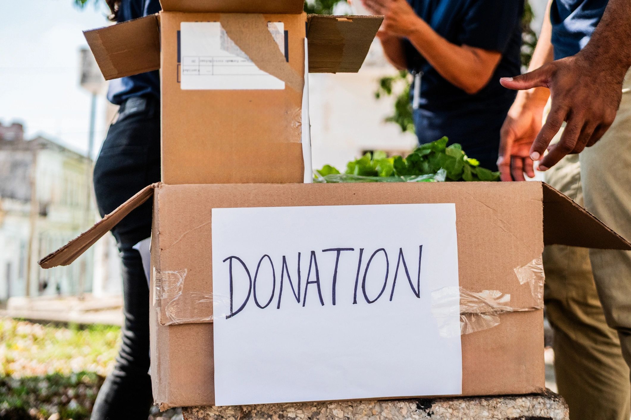vegan donation nonprofit